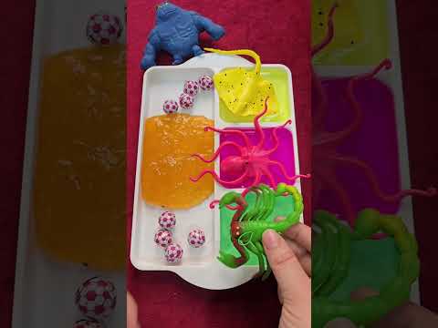 الو ألووو يا شرطه تع الوا 🦭👮🎤🎸كمبري طازج😅😋🦐🐡