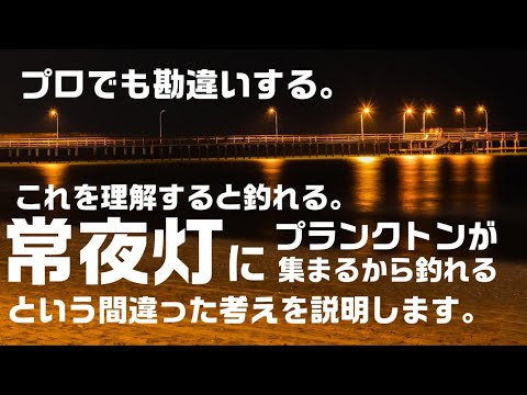 【アジング】プロも勘違い?業界の闇「鯵、眼張の餌となるプランクトンが常夜灯に集まる??」という破綻理論を考察してみる。初心者方必見。