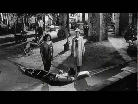 The Night of the Iguana'