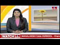 ఇవే నీకు చివరి ఎన్నికలు.. | YCP MP Vijaya Sai Reddy Comments On Chandrababu | hmtv  - 00:32 min - News - Video