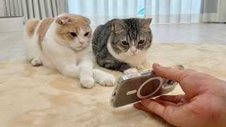 動画サムネイル