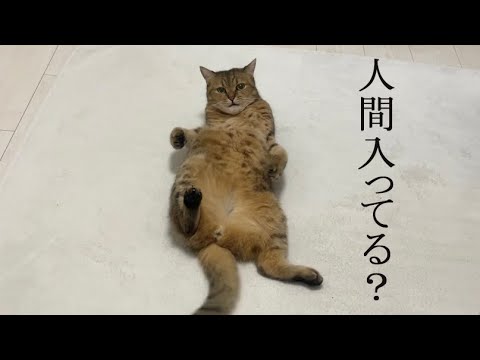 みにら君のかわいい動画とグッズ最新情報 サムネイル