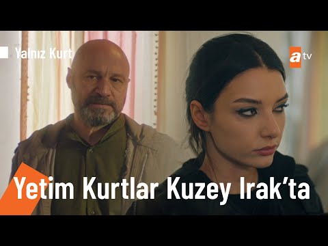 Yetim kurtlar Kuzey Irak’ta - @Yalnız Kurt 12. Bölüm