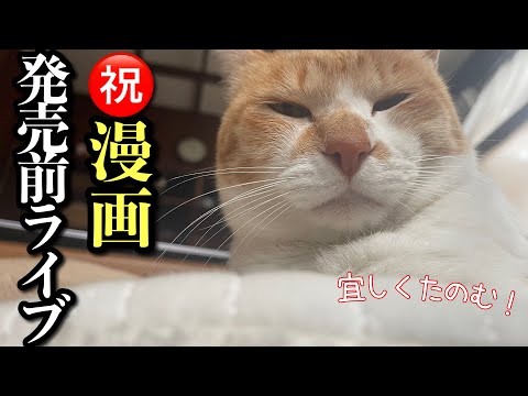 猫の動画サムネイル - 元野良猫チャチャとR me がライブ配信中！