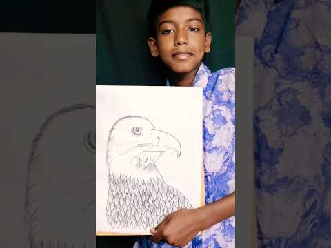 eagle drawing#easy sketch draw#viralshortsvideo