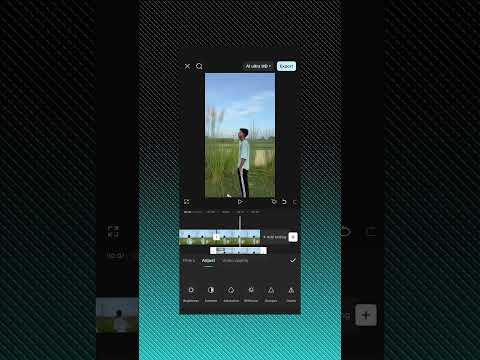 Memory Flash Back Editing Tutorial #shorts #capcut