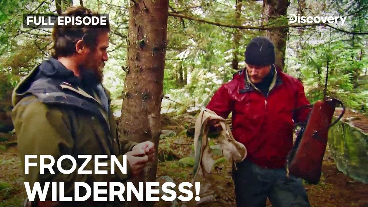 Life on the Edge in the Bulgarian Mountains! | Dual Survival S6a E2, E4, E6 | Discovery Channel