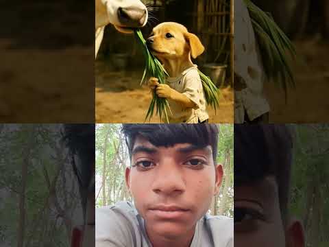 The poor puppy didn't have hen so, his rich friends making fun of him#animals#funny#cartoon