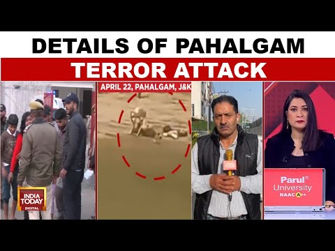 Pahalgam Terror Attack: Terrorist Attack In Kashmir Targets Tourists, Sparks Widespread Condemnation