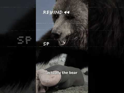 Man Survives Bear Attack With Spray 😨