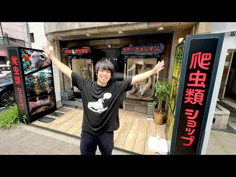 秋葉原にある爬虫類ショップに行ってきました！