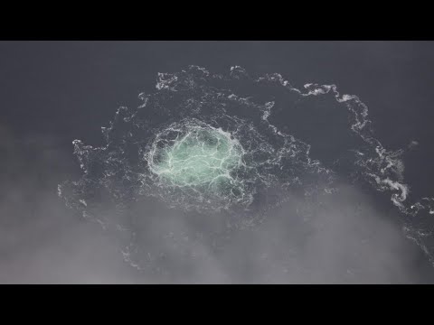 Italy arrests Ukrainian suspected of involvement in Nord Stream pipeline blasts • FRANCE 24 English