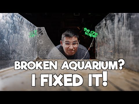 Restoring a broken Aquarium - I did it!🤩 I remembered that a damaged aquarium has been gathering dust in the basement for about 5 years. I ca