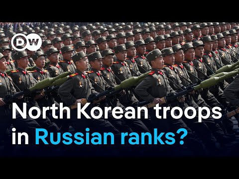 South Korean agency says 1,500 North Korean troops in Russia | DW News