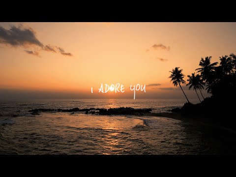 HUGEL x Topic x Arash feat. Daecolm - I Adore You (Sundowner Lyric Video)