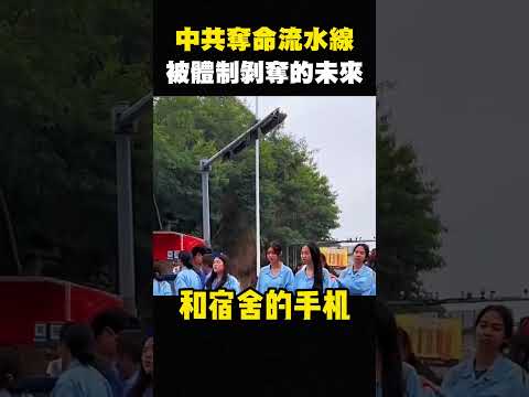 中國遙遙領先，台灣人看傻，小粉紅月入一千，都想來台灣定居 #shorts
