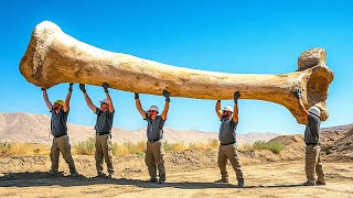 Самое тяжелое животное в мире было на виду у всех