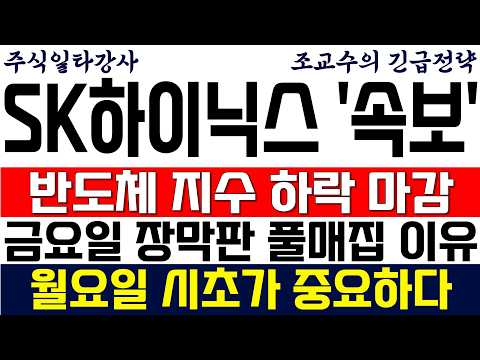 [SK하이닉스 주가전망 조교수] 필라델피아 반도체 지수 하락 마감! 금요일 장막판 큰손 풀매집한 이유! 월요일 시초가 중요합니다
