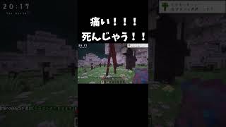 痛い！！！死んじゃう！！#マイクラ #ゲーム実況 #天使 #痛い
