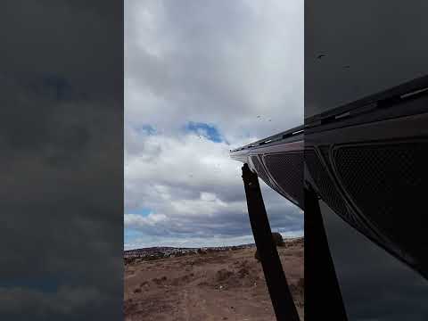 صيد ورور بالرفيع👍👍👍