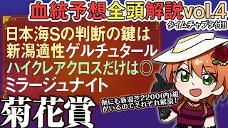 菊花賞 2025 好調日本海S組に黄信号なゲルチュタール!?抽選対象に大穴候補も…！全馬血統解説vol.3 #四条大学血統ゼミ🏇🧬