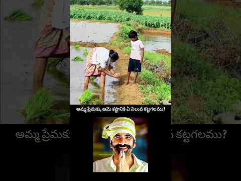 mother hard work video telugu #telugureels #trendingshorts #viral #amma #farmer #hardwork #shorts