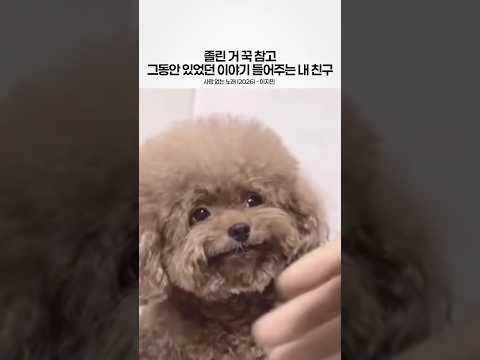 <strong>ㅠㅠ</strong>
