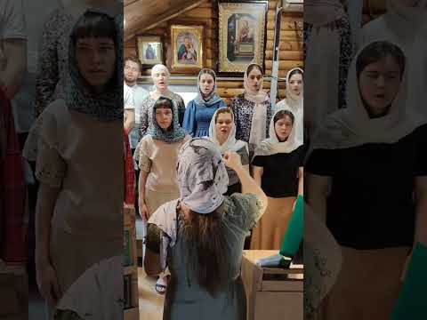 Аллилуйя глас 8 #хор