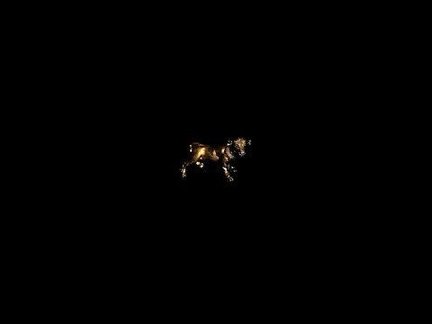 Delta Rae - Somewhere In The Desert (Official Lyric Video)