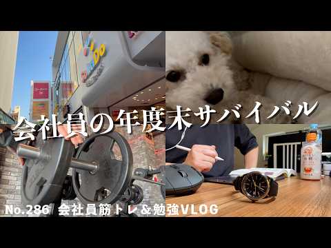 年度末の仕事の隙間に勉強と筋トレを詰め込む会社員の7日間ルーティン