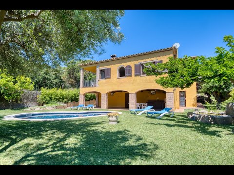 Property video