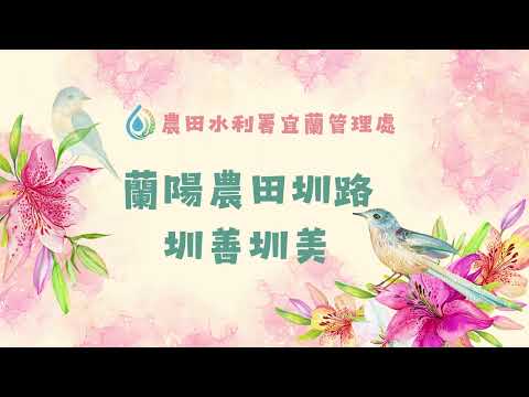 圳善圳美-113年度蘭陽農田圳路-杜鵑花