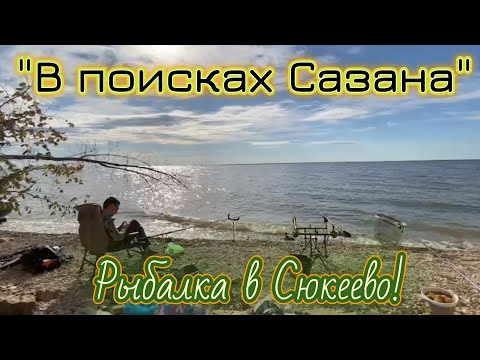 В поисках Сазана | Рыбалка в живописных берегах Сюкеево. Татарстан