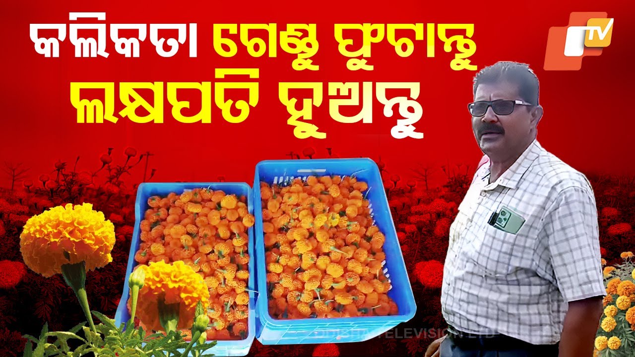 Special Story: How Kolkata's Farmers Are Thriving with Low-Cost, High-Yield Cultivation in Bhadrak