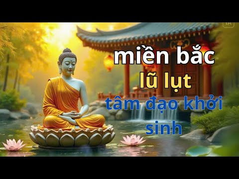 phật giáo miền bắc hứng lũ về miền nam bước vào tâm đạo khởi sinh