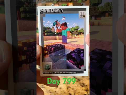 Day 799 Subscribe to MrBeast Challenge