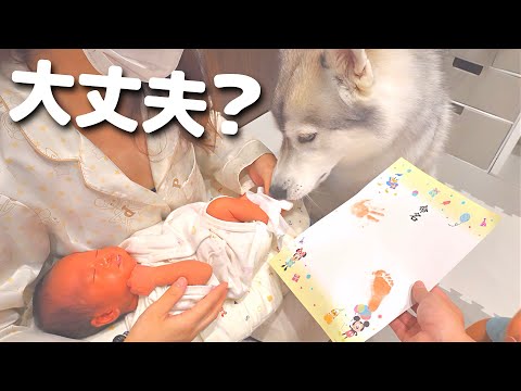人間界の儀式を心配そうに見守る過保護な愛犬がこちらです...笑
