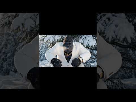 #gorille #humour #ia #short #ski