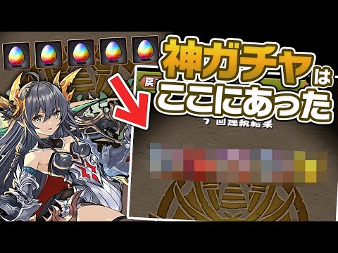【爆死上等】ティエラ狙いのフェス限ヒロインガチャのはずが…！？【パズドラ】