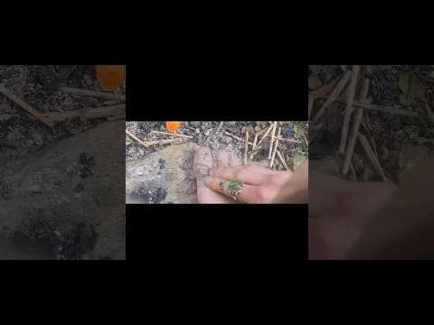 nettles ash pollen iron water wood mud music rock milk death growth venting clouds hug clown jewels