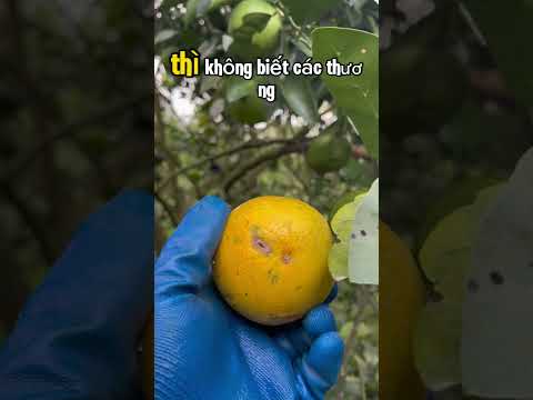 Vất vả lắm các bác ơi