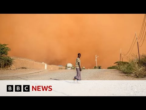 Up to 75% of the world could be facing drought by 2050 - BBC News
