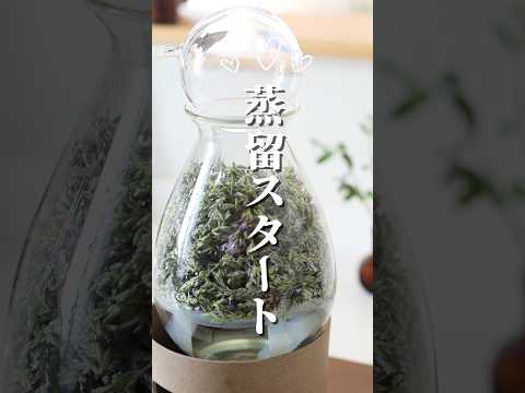 【ラベンダー化粧水】#shorts