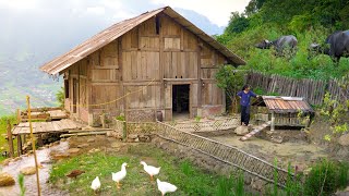 A small idea that turns a corner of the garden into a duck playground paradise - Anna Bếp Trên Bản