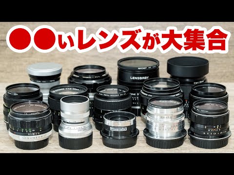 【レンズ大集合】50mmよりほんの少しだけ長い標準域のレンズ特集【視聴者リクエスト】