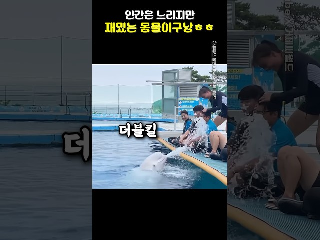 인간은 느리지만 재밌는 동물이구낭ㅎㅎ
