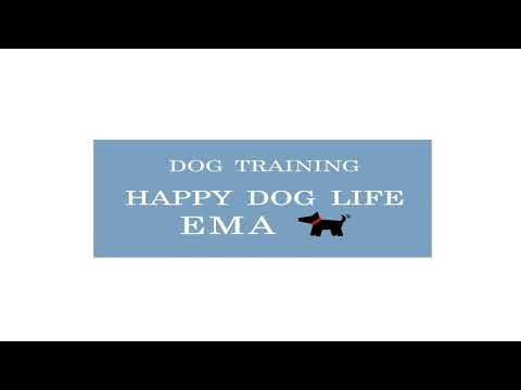 犬のしつけ エマチャンネル のライブ配信