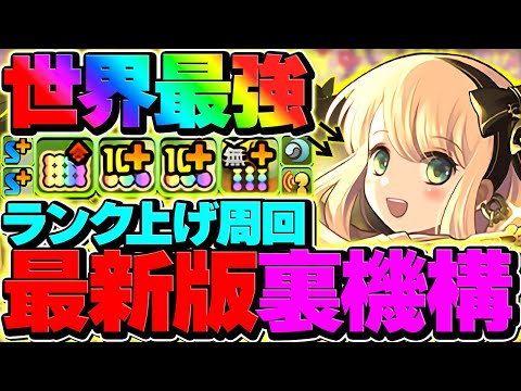 【新時代】酒サレーネのランク経験値2倍が人権確定！裏機構城ノア最新編成！革命が起きてます！！【パズドラ】