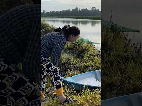 ngày 31 tháng 10, 2025