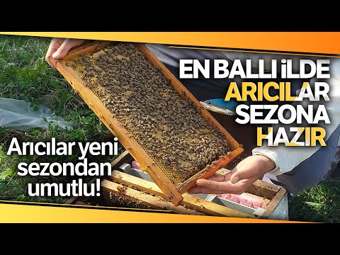 Türkiye'nin En Ballı İlinde Arıcılar Sezona Hazır